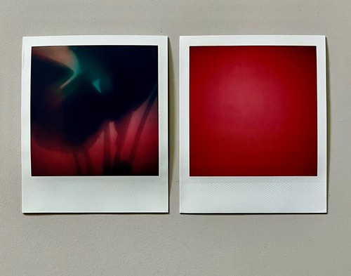 Polaroid edizione - x,